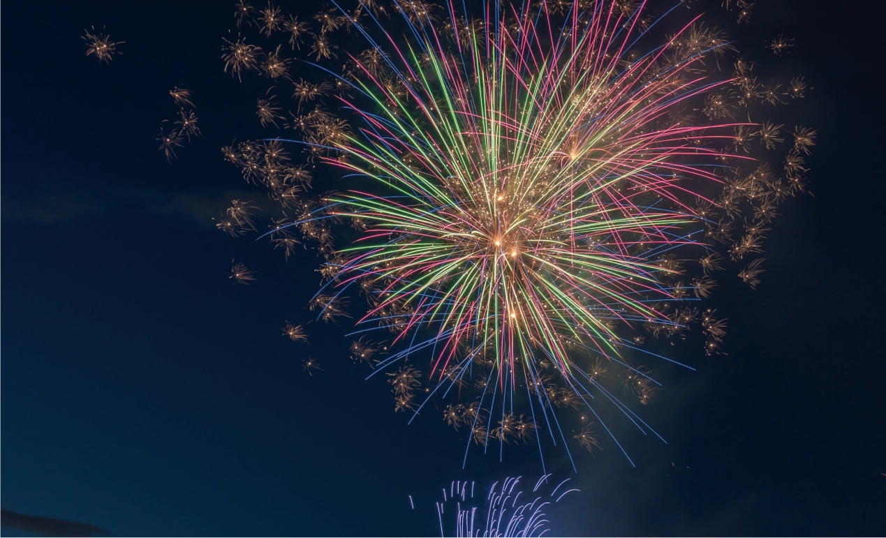 天神祭 船渡御の様子