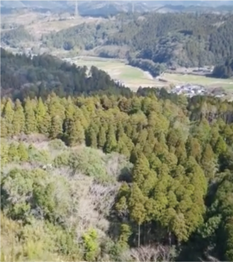 MACプロジェクト